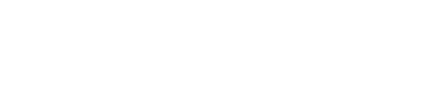 +Selektiv Logo